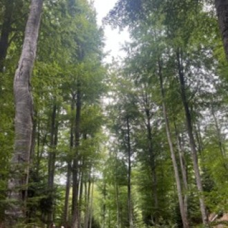 Randonnée